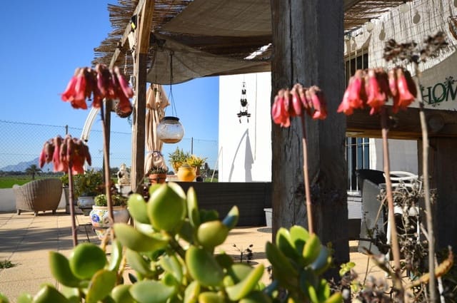 3 bedroom Villa for sale in Catral - € 265,000 (Ref: 9502580)