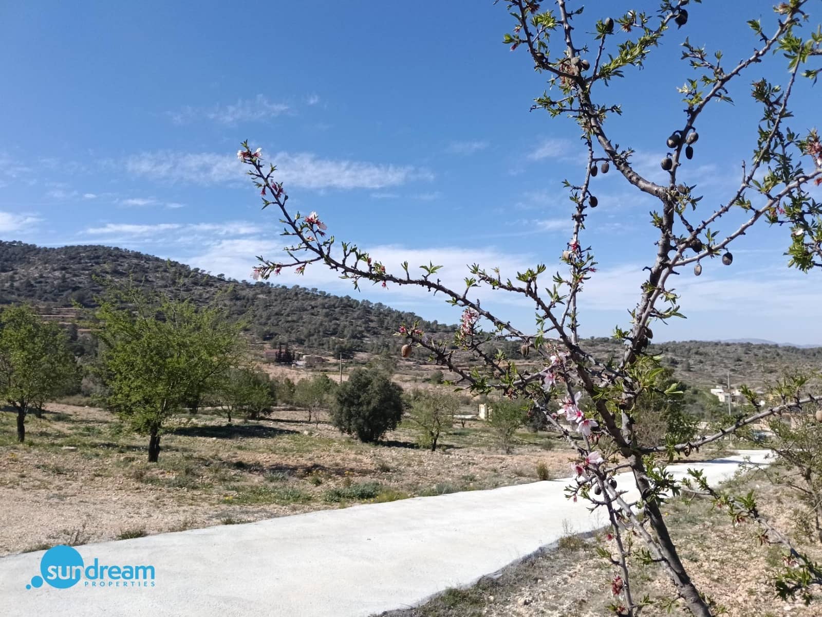 Chalet de 4 habitaciones en La Zarza en venta con piscina - 385.000 € (Ref: 9634491)