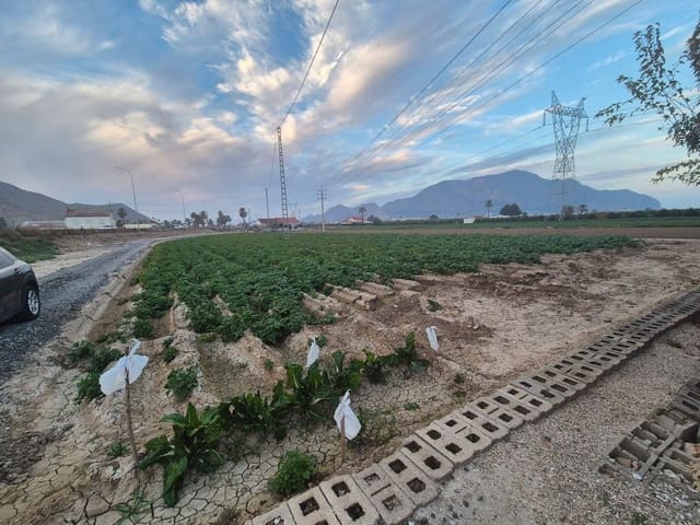 3 slaapkamer Finca/Landhuis te koop in Orihuela ciudad, Orihuela met garage - € 339.000 (Ref: 9690950)