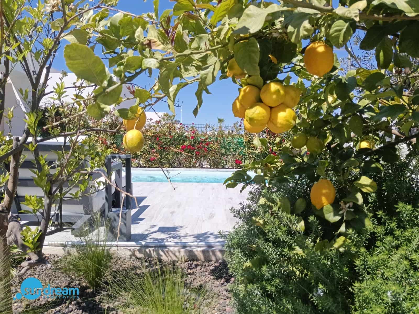 Chalet de 2 habitaciones en Algorfa en venta con piscina - 540.000 € (Ref: 9720133)