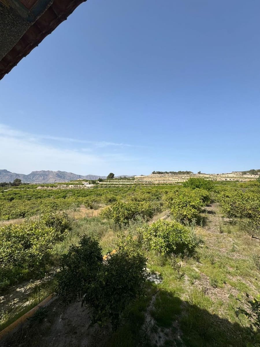 1 chambre Finca/Maison de Campagne à vendre à Orihuela avec garage - 139 000 € (Ref: 9788540)