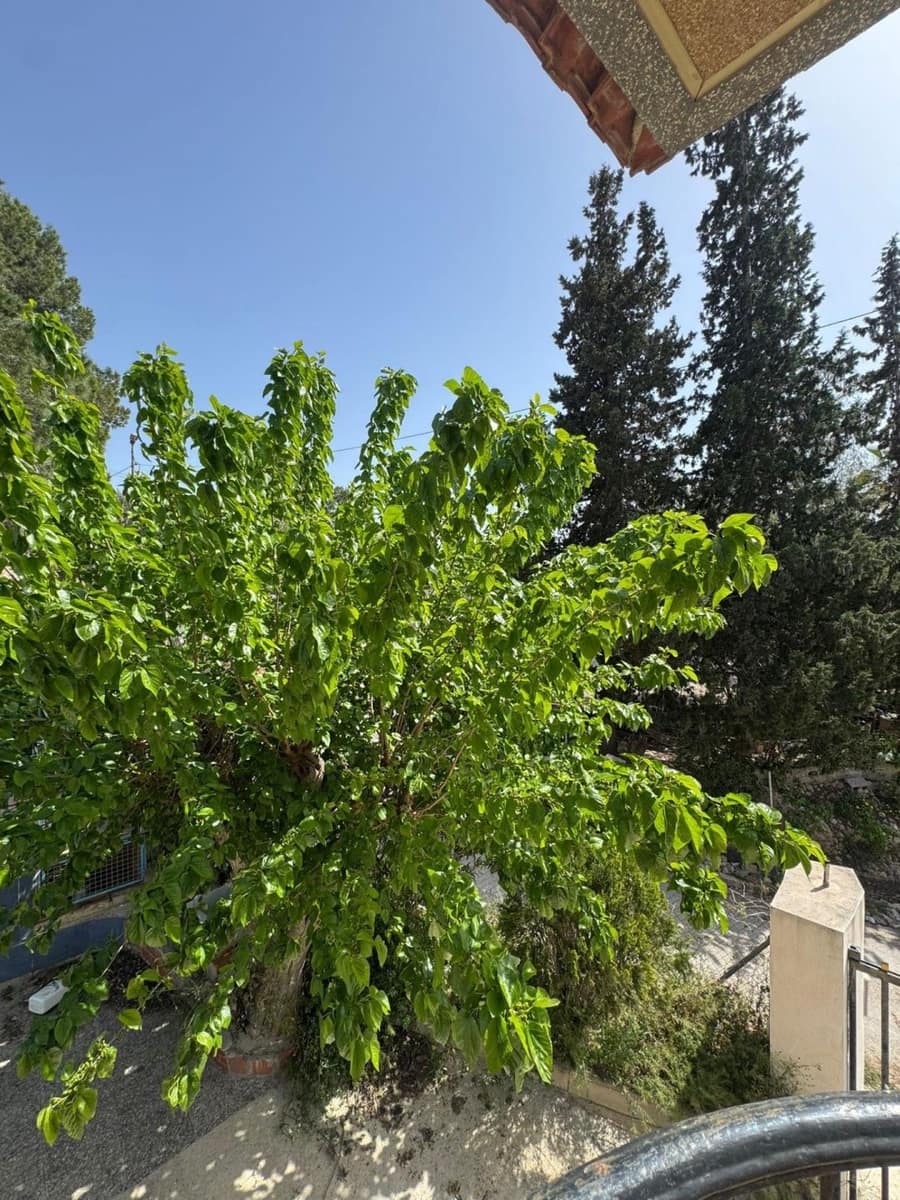 1 chambre Finca/Maison de Campagne à vendre à Orihuela avec garage - 139 000 € (Ref: 9788540)