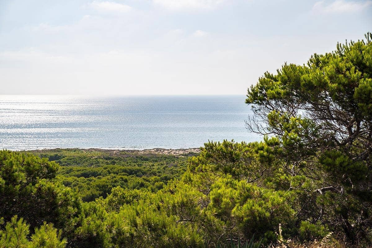 3 bedroom Penthouse for sale in Guardamar del Segura with pool - € 850,000 (Ref: 9975579)