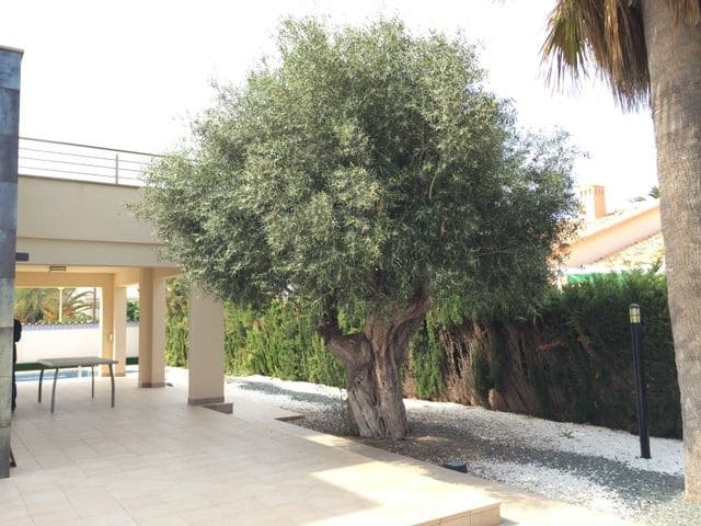 4 slaapkamer Villa te koop in Cabo Roig, Orihuela met zwembad garage - € 1.090.000 (Ref: 3287509)