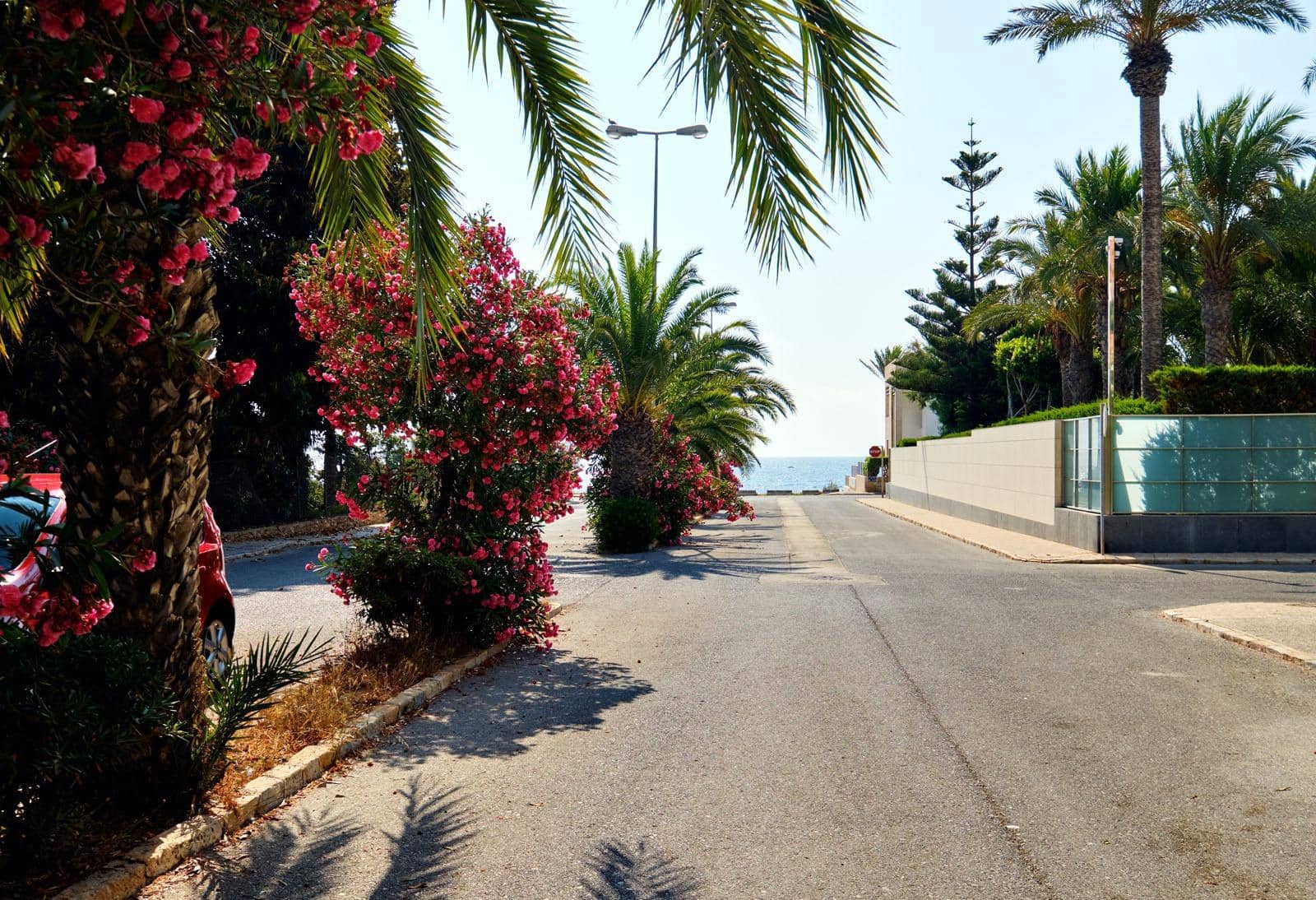 3 soveværelse Lejlighed til leje i La Veleta - € 2.000 (Ref: 8624377)