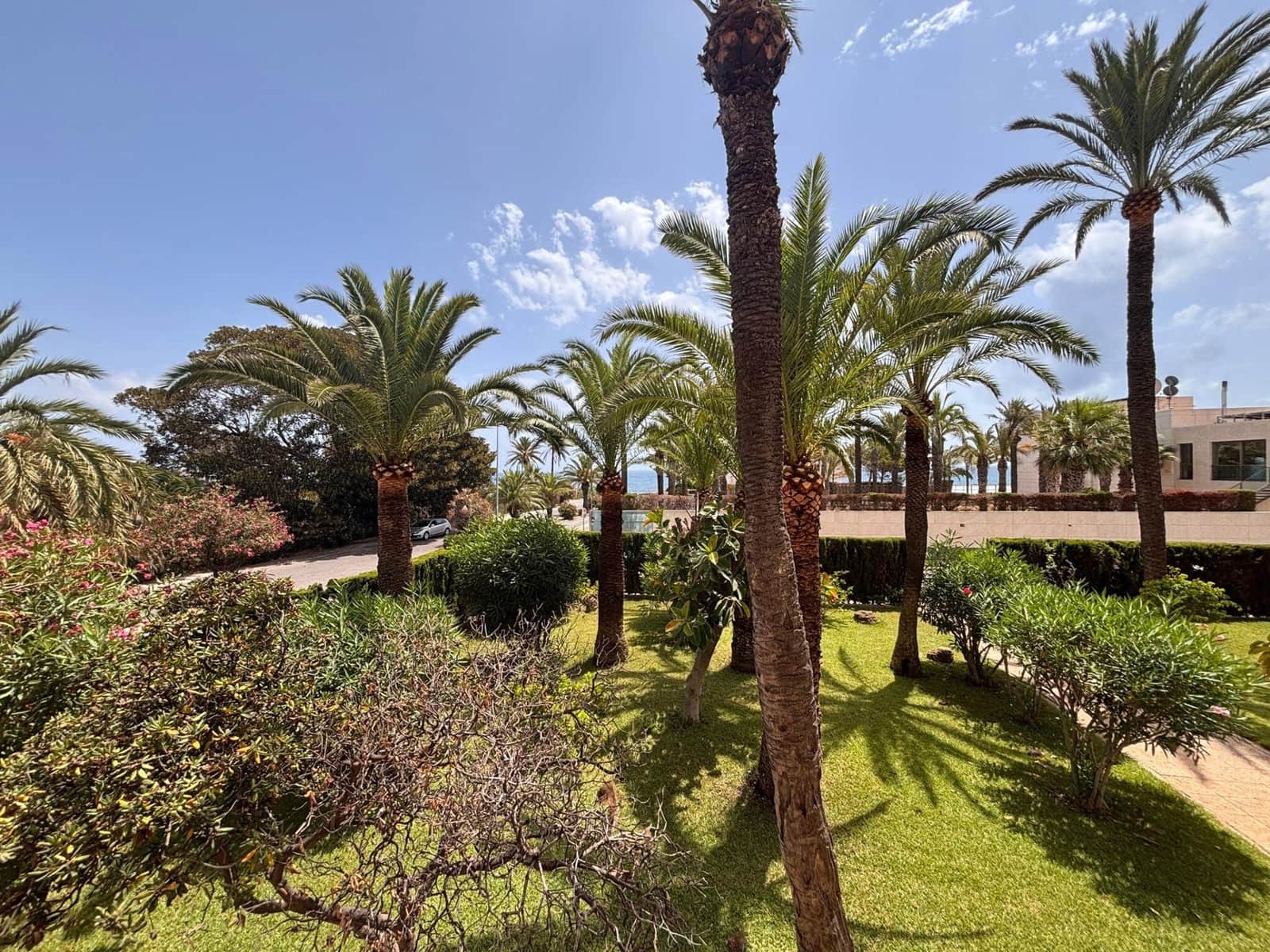 3 soveværelse Lejlighed til leje i La Veleta - € 2.000 (Ref: 8624377)