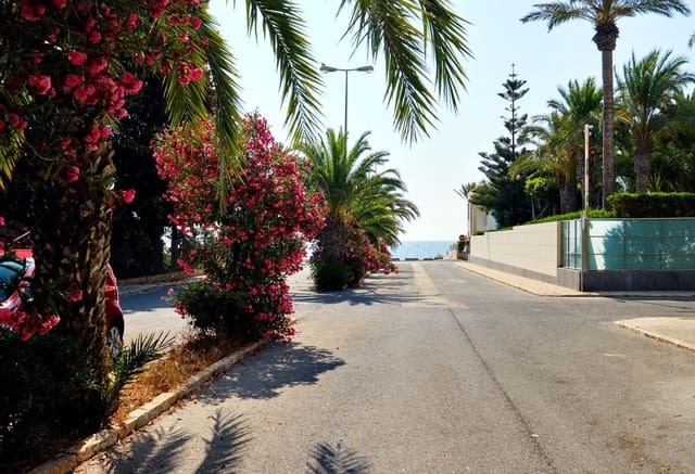 2 soveværelse Lejlighed til leje i La Veleta, Torrevieja - € 2.100 (Ref: 9159386)