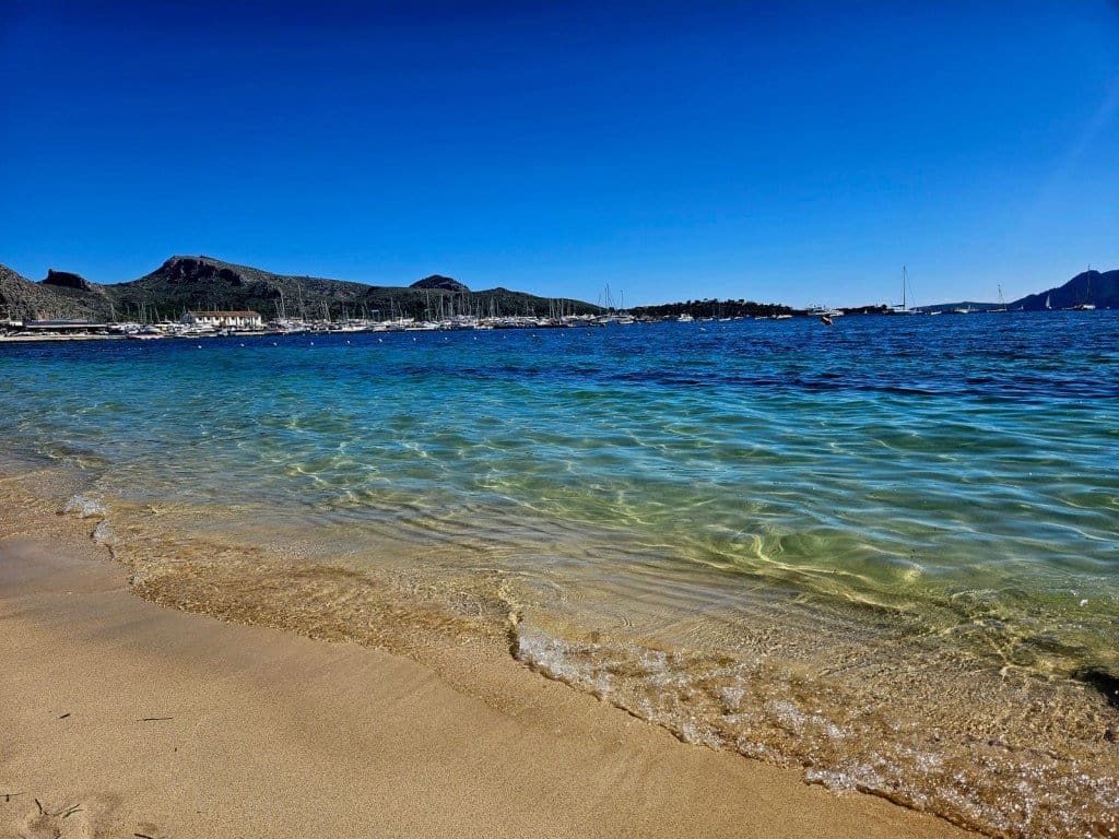 2 sovrum Lägenhet att hyra i Pollensa / Pollenca - 2 600 € (Ref: 10091586)