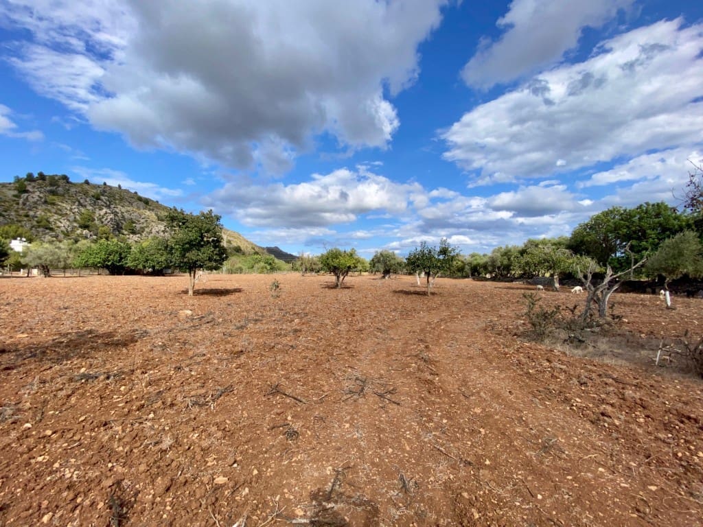 6 soveværelse Villa til salg i Pollensa / Pollenca med garage - € 850.000 (Ref: 8126671)