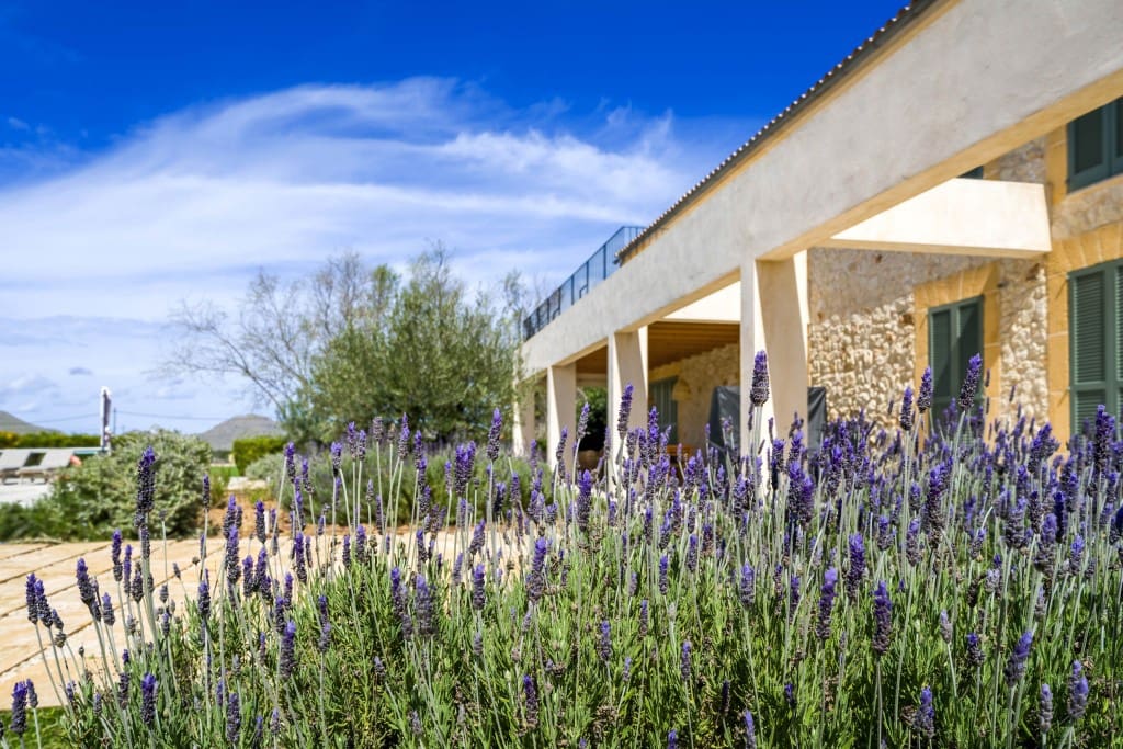 5 soveværelse Villa til salg i Alcudia med swimmingpool - € 4.200.000 (Ref: 8377839)