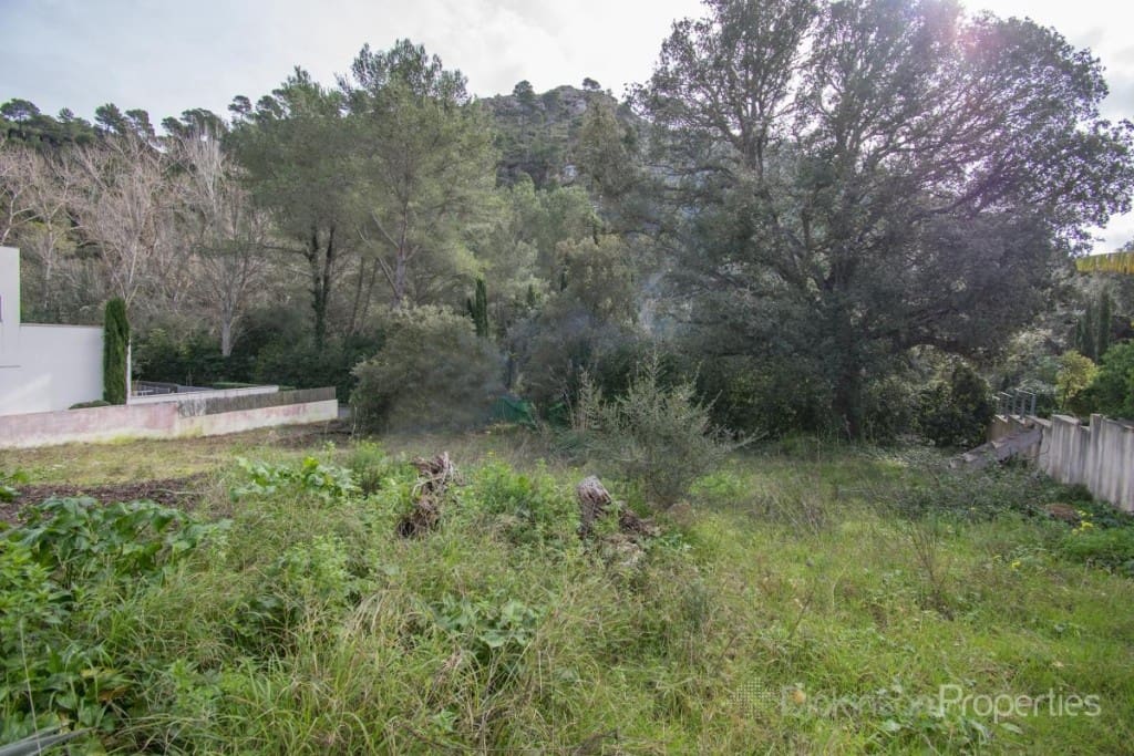Grond te koop in Pollensa / Pollenca - € 500.000 (Ref: 8392458)