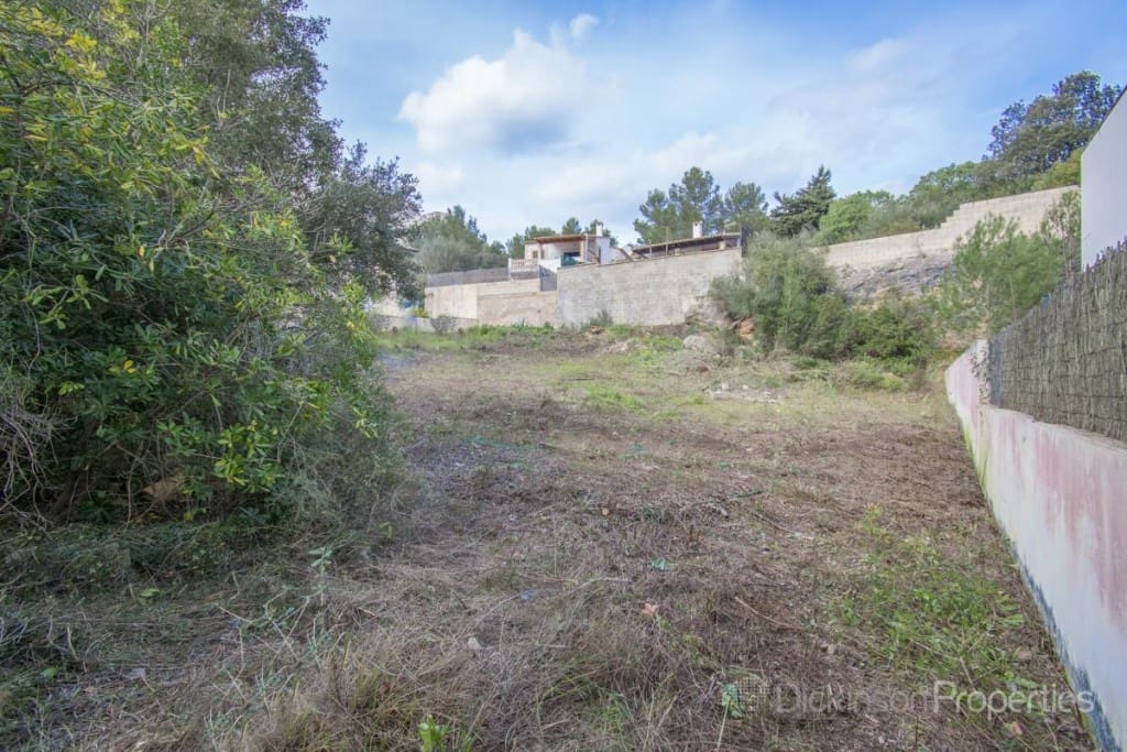 Grond te koop in Pollensa / Pollenca - € 500.000 (Ref: 8392458)