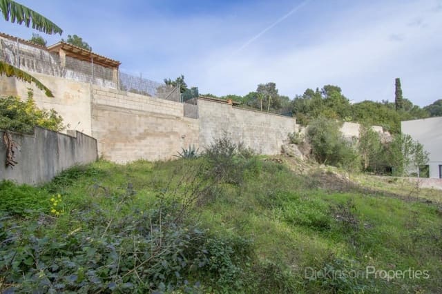 Undeveloped Land for sale in Pollensa / Pollença - € 500,000 (Ref: 8392458)