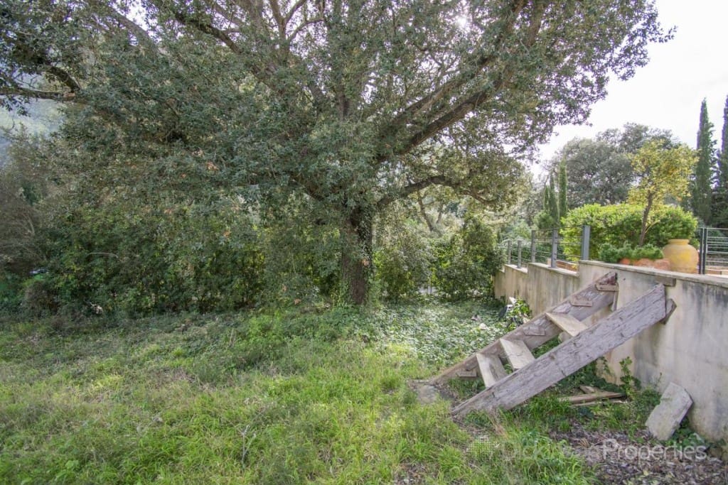 Grond te koop in Pollensa / Pollenca - € 500.000 (Ref: 8392458)