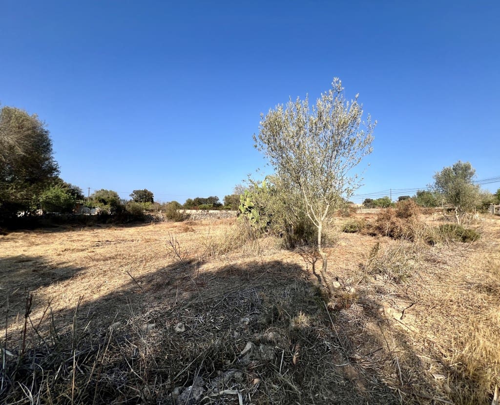 2 slaapkamer Villa te koop in Costitx - € 175.000 (Ref: 8484602)