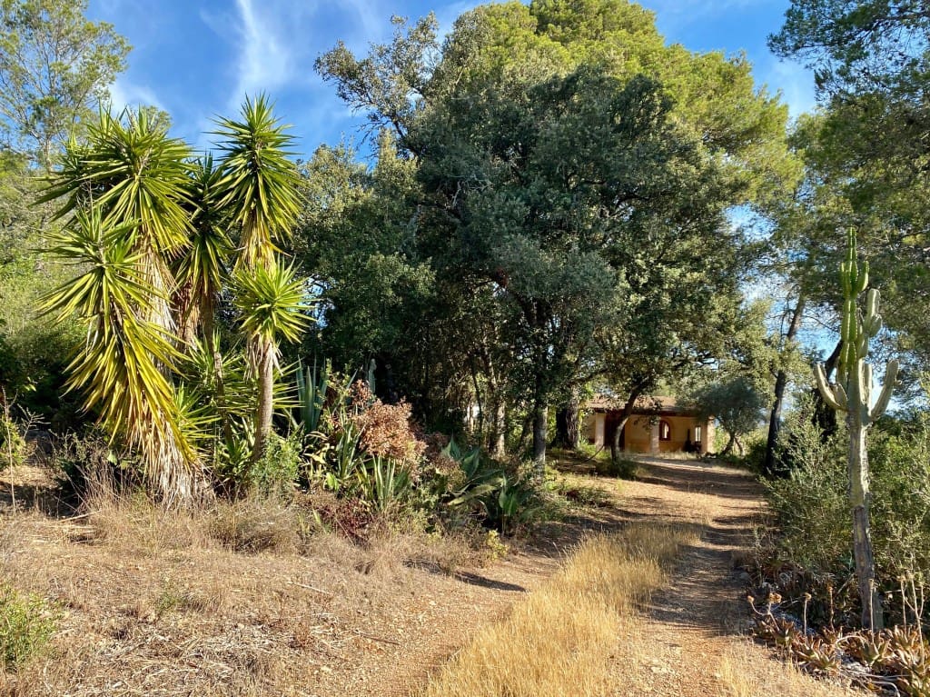 2 chambre Villa/Maison à vendre à Sencelles avec piscine - 636 000 € (Ref: 8715377)