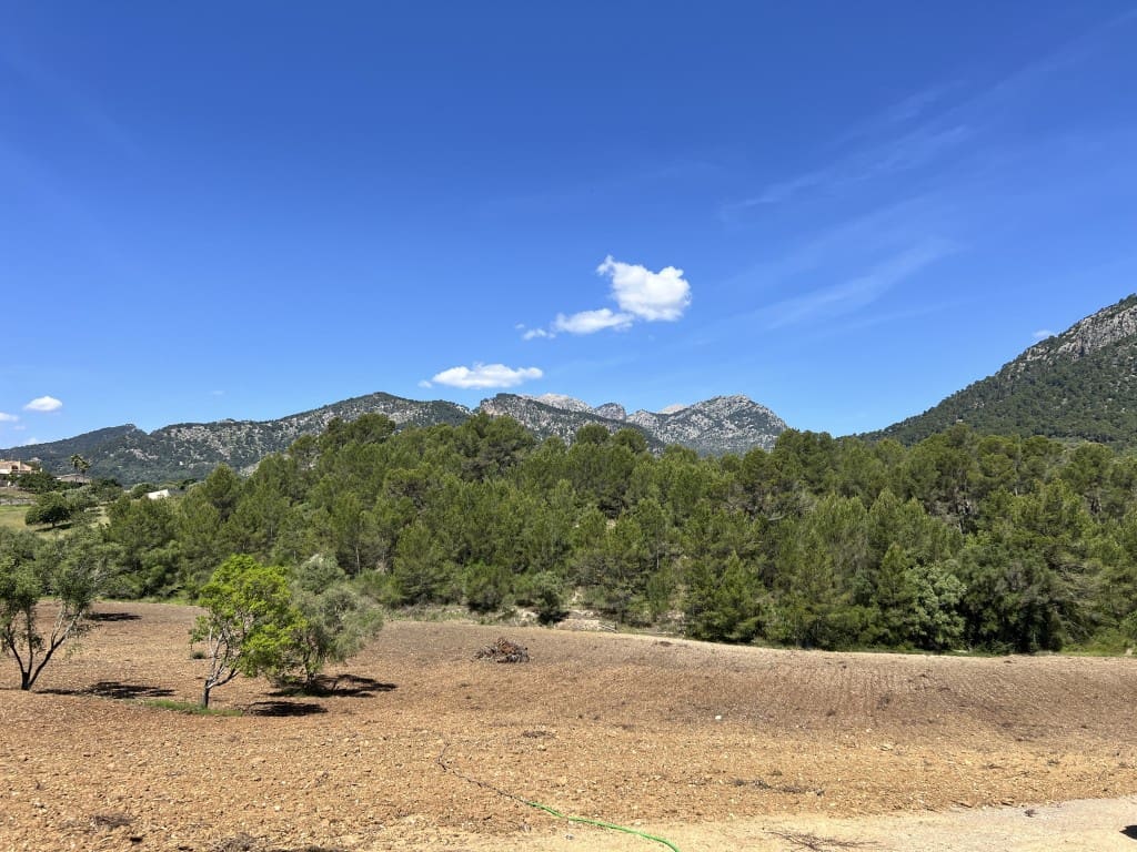 Teren niezagospodarowany na sprzedaż w Selva - 1 100 000 € (Ref: 8988801)