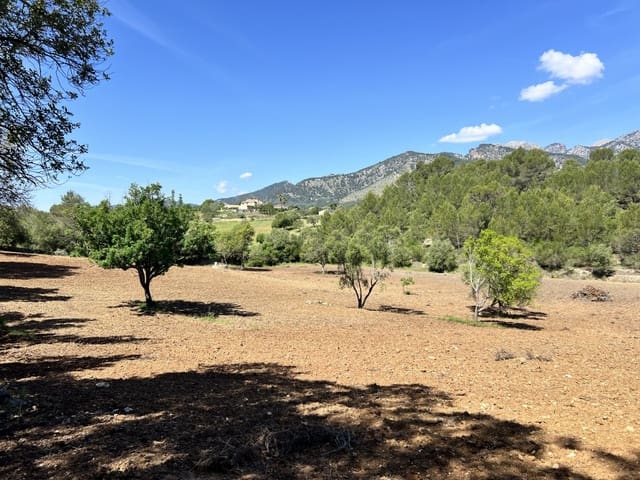 Mark till salu i Selva - 1 100 000 € (Ref: 8988801)