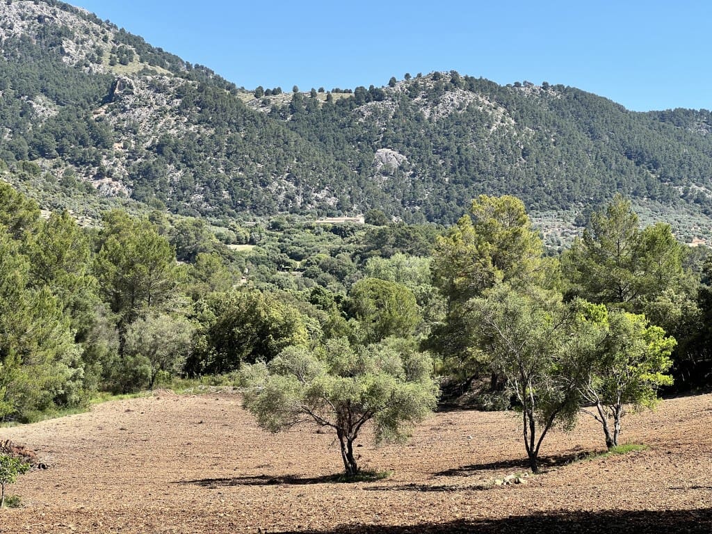 Teren niezagospodarowany na sprzedaż w Selva - 1 100 000 € (Ref: 8988801)