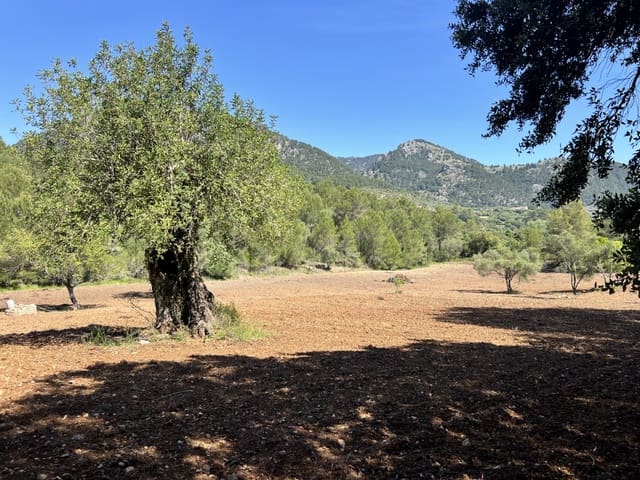 Mark till salu i Selva - 1 100 000 € (Ref: 8988801)