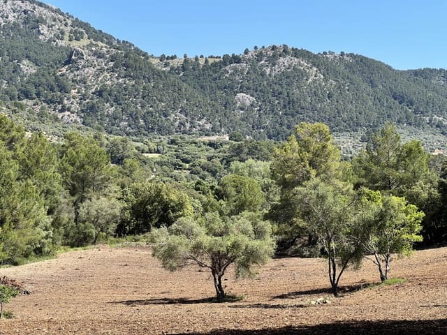 Grunde uden byggetilladelser til salg i Selva - € 1.100.000 (Ref: 8988801)