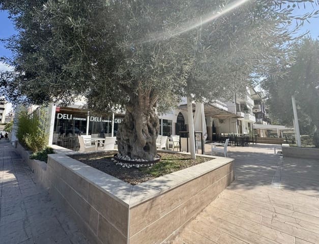 Erhverv til salg i Port de Pollença, Pollensa / Pollença med garage - € 790.000 (Ref: 9200602)