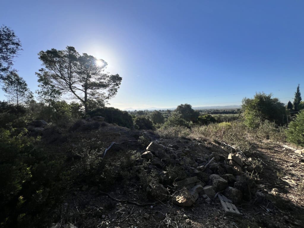 Grunde uden byggetilladelser til salg i Alcudia - € 750.000 (Ref: 9378882)
