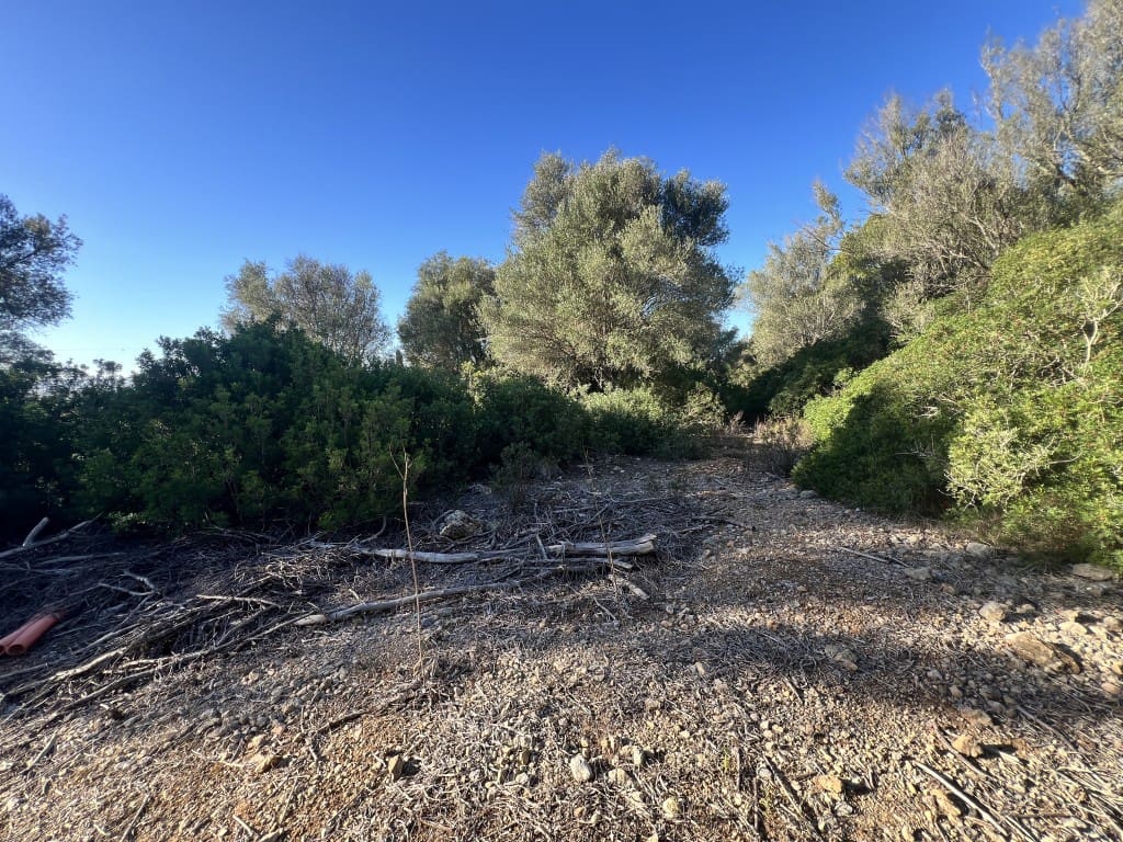 Grunde uden byggetilladelser til salg i Alcudia - € 750.000 (Ref: 9378882)