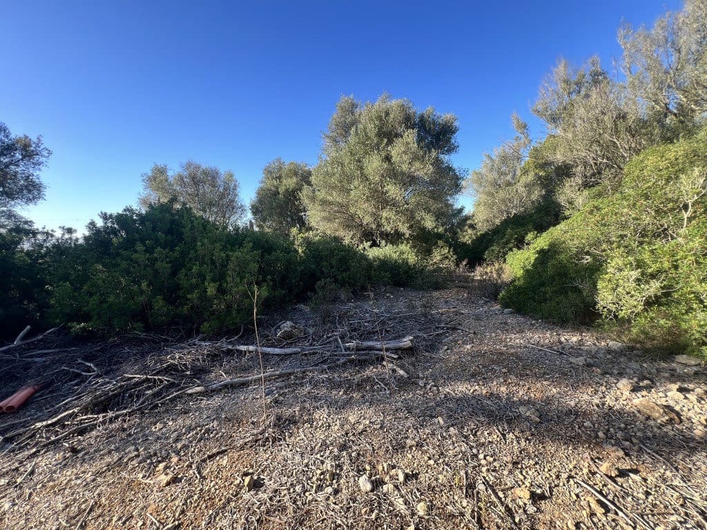 Undeveloped Land for sale in Alcudia - € 750,000 (Ref: 9378882)