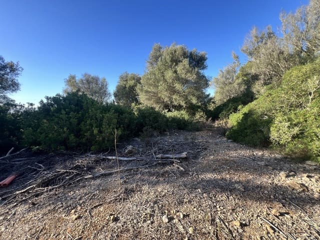Landgrundstück zu verkaufen in Alcúdia - 750.000 € (Ref: 9378882)