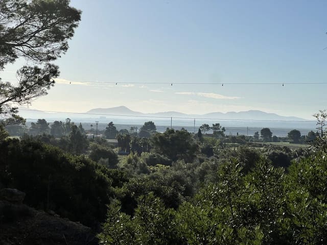 Landgrundstück zu verkaufen in Alcúdia - 750.000 € (Ref: 9378882)