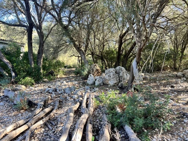 Landgrundstück zu verkaufen in Alcúdia - 750.000 € (Ref: 9378882)