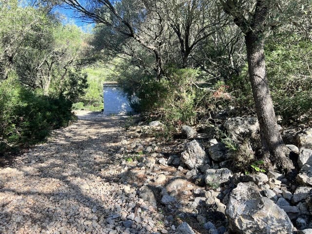 Landgrundstück zu verkaufen in Alcúdia - 750.000 € (Ref: 9378882)