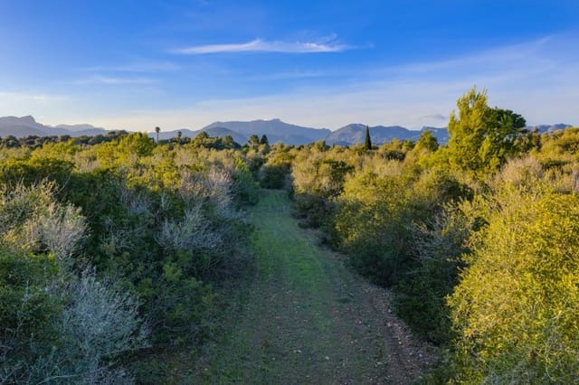 Terre non Aménagée à vendre à Alcúdia - 890 000 € (Ref: 9448883)