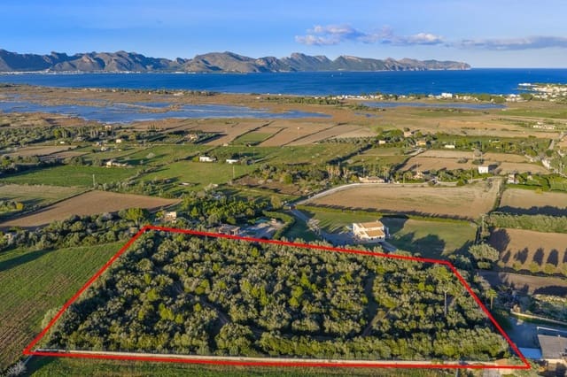Terre non Aménagée à vendre à Alcúdia - 890 000 € (Ref: 9448883)