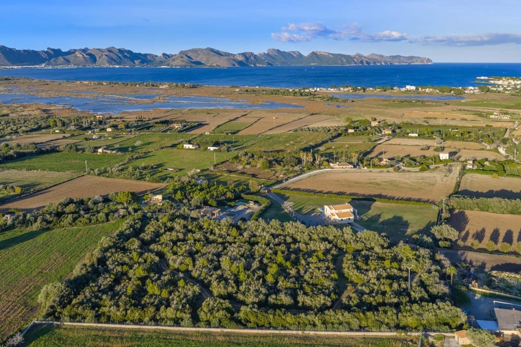 Terre non Aménagée à vendre à Alcudia - 890 000 € (Ref: 9448883)