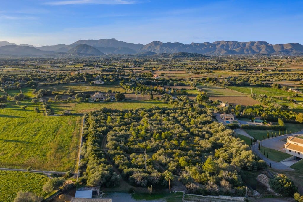 Terre non Aménagée à vendre à Alcudia - 890 000 € (Ref: 9448883)