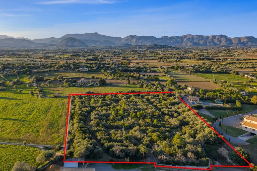 Terre non Aménagée à vendre à Alcudia - 890 000 € (Ref: 9448883)