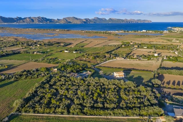 Terre non Aménagée à vendre à Alcúdia - 890 000 € (Ref: 9448883)