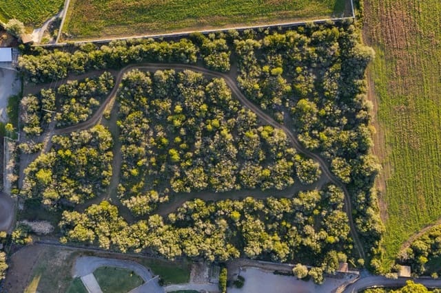 Terre non Aménagée à vendre à Alcúdia - 890 000 € (Ref: 9448883)