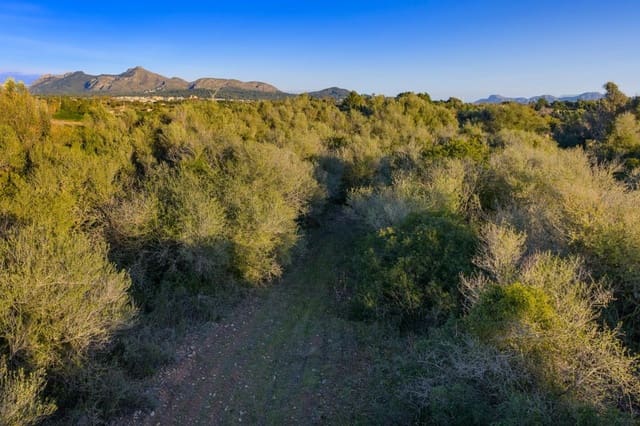 Terre non Aménagée à vendre à Alcúdia - 890 000 € (Ref: 9448883)