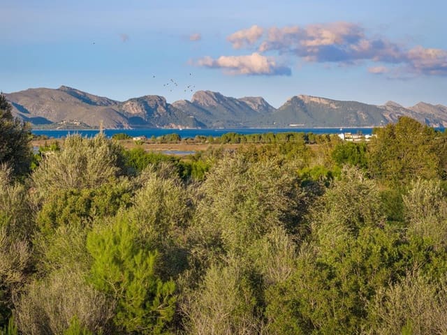 Terre non Aménagée à vendre à Alcúdia - 890 000 € (Ref: 9448883)