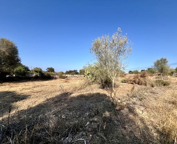 2 slaapkamer Villa te koop in Costitx - € 175.000 (Ref: 9565008)