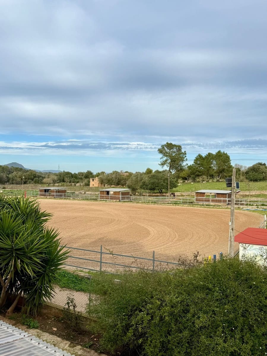 2 bedroom Villa for sale in Costitx - € 1,350,000 (Ref: 9735350)