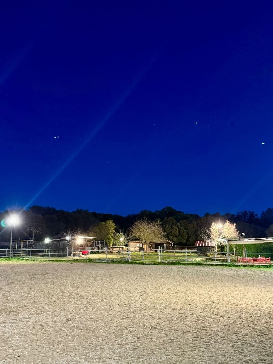 2 bedroom Villa for sale in Costitx - € 1,350,000 (Ref: 9735350)