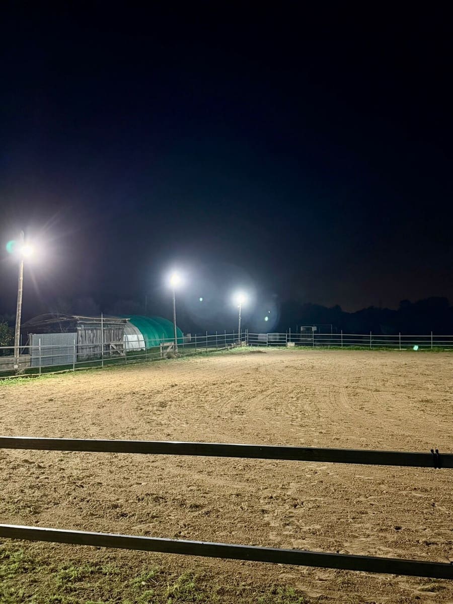 2 bedroom Villa for sale in Costitx - € 1,350,000 (Ref: 9735350)