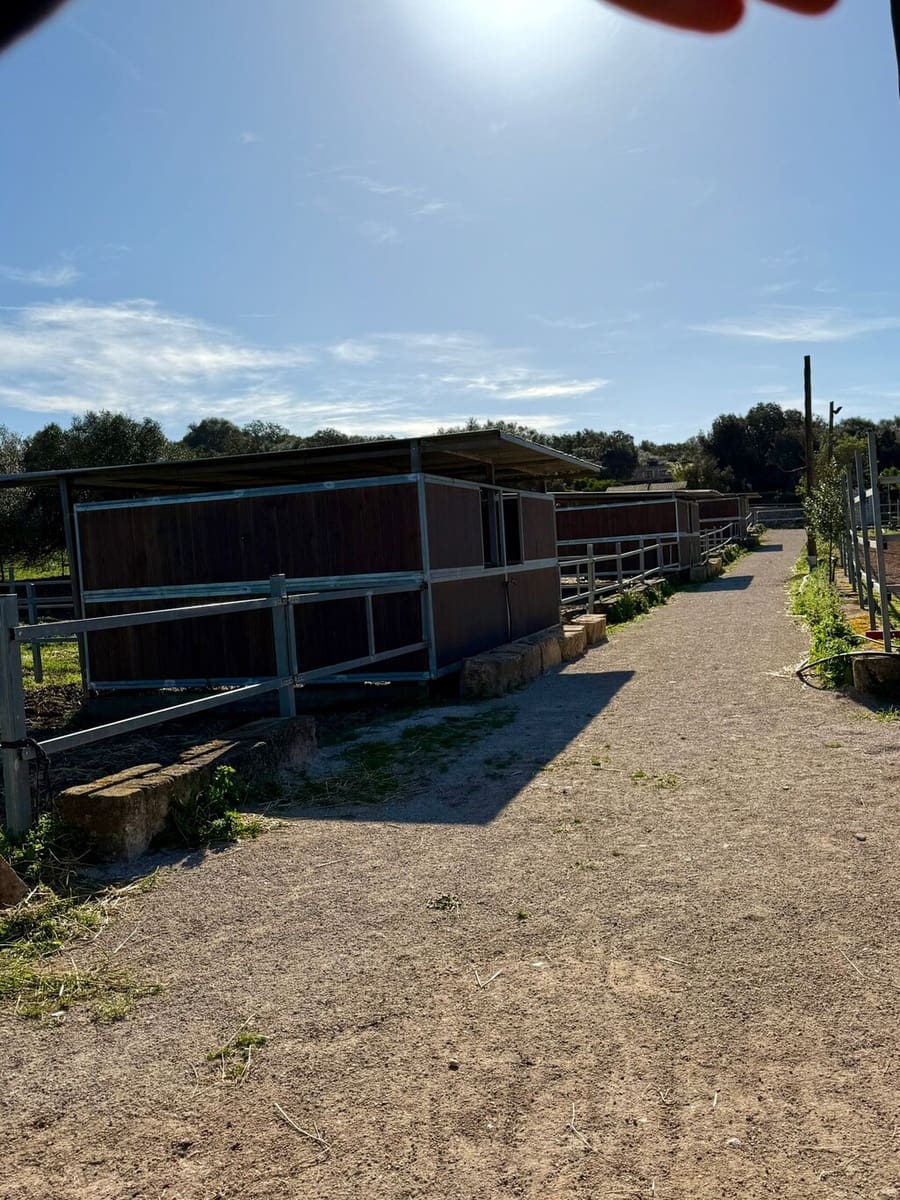 2 bedroom Villa for sale in Costitx - € 1,350,000 (Ref: 9735350)