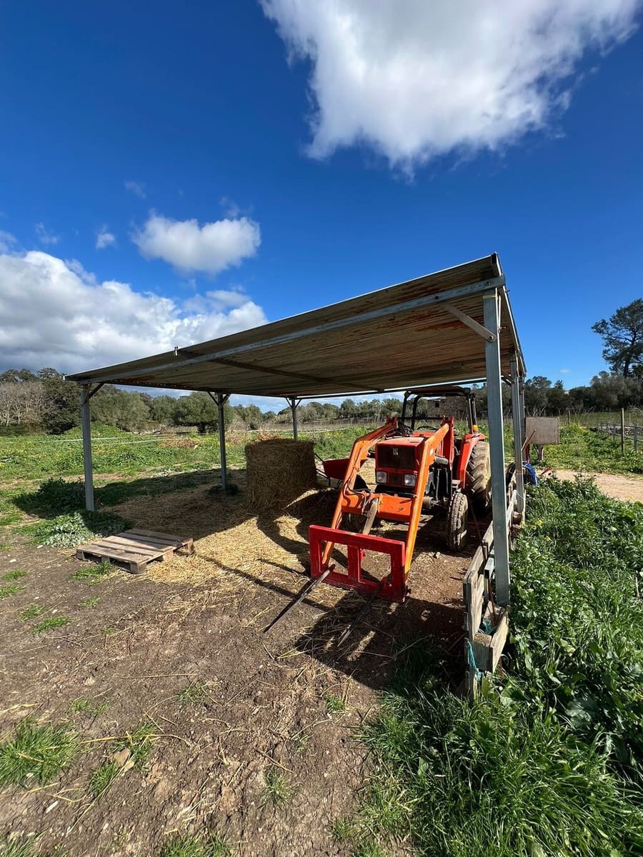 2 bedroom Villa for sale in Costitx - € 1,350,000 (Ref: 9735350)