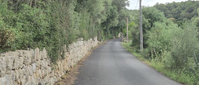 Undeveloped Land for sale in Costitx - € 240,000 (Ref: 9836433)