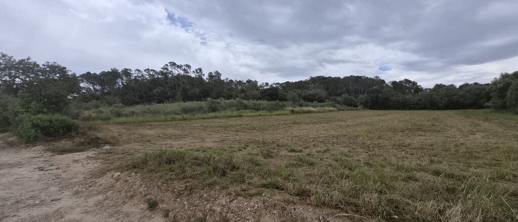 Undeveloped Land for sale in Costitx - € 240,000 (Ref: 9836433)